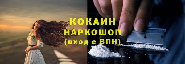 стаф Тольятти