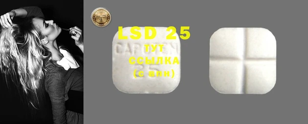 крисы Кукмор