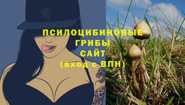 ешки Ладушкин