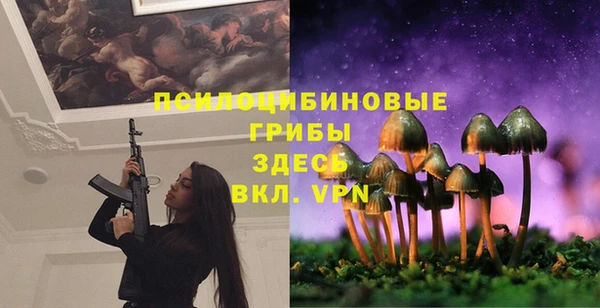 стаф Тольятти
