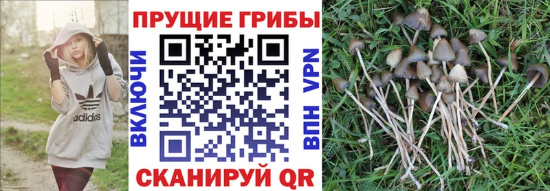MEGA ONION  Петрозаводск  Псилоцибиновые грибы ЛСД  магазин  наркотиков 